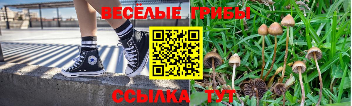 Псилоцибиновые грибы прущие грибы  Галлюциногенные грибы мицелий  Вход с VPN  Мытищи 